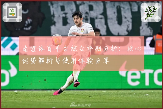 南宫体育平台综合评测分析：核心优势解析与使用体验分享