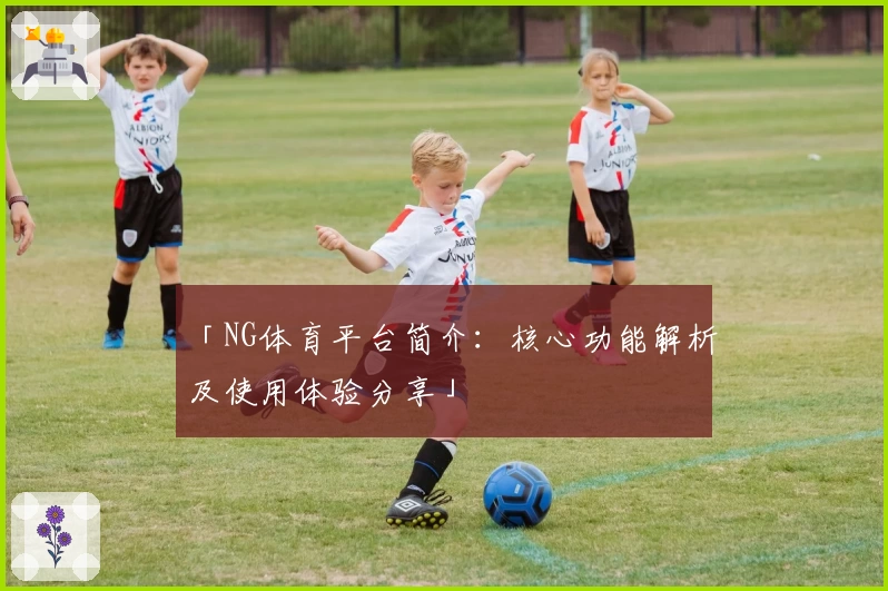 「NG体育平台简介：核心功能解析及使用体验分享」